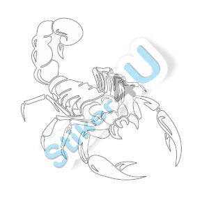 Интересни стикери за кола